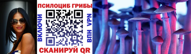 Галлюциногенные грибы Cubensis kraken tor Краснообск